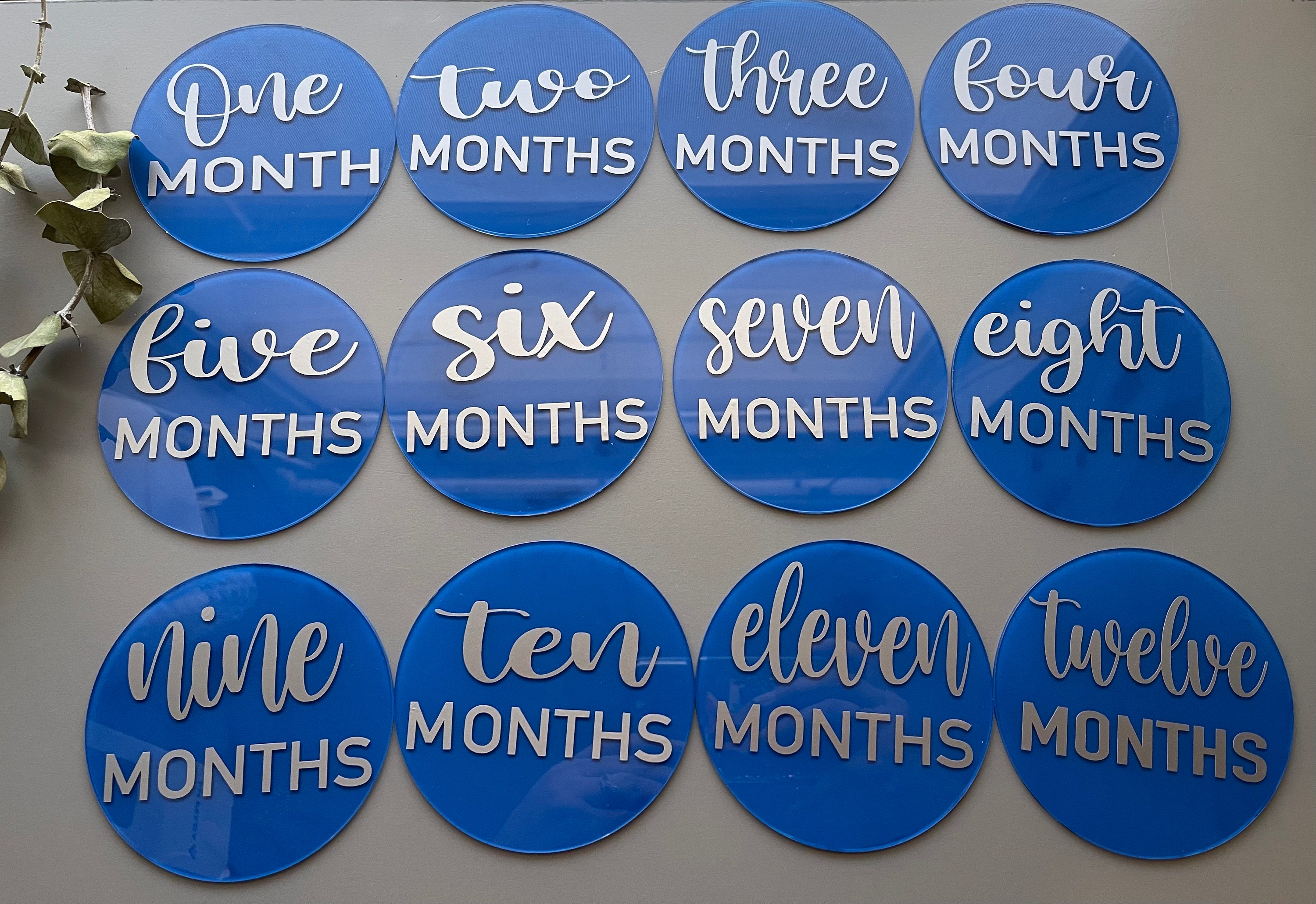 Acrylic Baby Milestones Disc Baby Monthly Milestone Cards Etsy