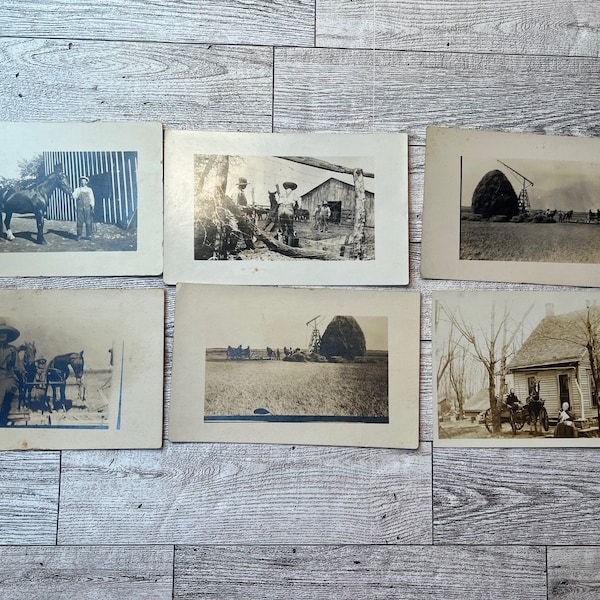 Antique 1910s Photograph Postcards, Unused, Featuring Rural Farm Life, Horses, Nostalgia Ephemera Memorabilia