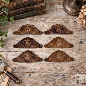 May include: Six brown metal drawer pulls, each featuring a detailed relief of a lion's head surrounded by ornate scrollwork. These hardware pieces have a weathered finish and a triangular shape, designed for mounting onto furniture surfaces.
