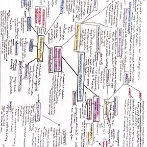 May include: A hand-drawn mind map illustrating the autonomic nervous system, with branches for the sympathetic and parasympathetic nervous systems. The map includes details on the effects of cholinergic and adrenergic drugs, as well as indications and adverse effects.
