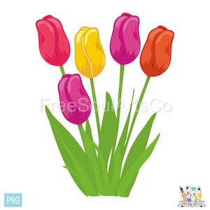 Tulip png. Tulip Bouquet. Tulip Bunch. Spring Flowers. Floral png. Colorful Tulips png clipart. Digital print png