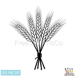 Trigo SVG. Manojo de trigo Svg. Cosecha de Otoño Svg. Grano SVG. Imágenes prediseñadas de trigo svg png. Archivo de corte para Cricut y Silhouette. svg pngdxf