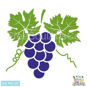 May include: A vector graphic of a bunch of grapes with green leaves and vines. The grapes are a deep blue color, and the leaves are green. The image includes the text "SVG PNG DXF".