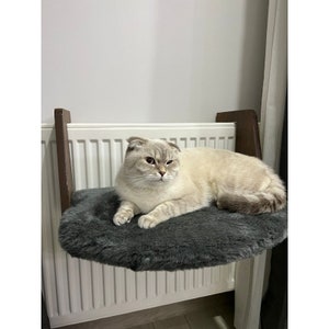 Könnte beinhalten: Eine weiße Katze mit gefalteten Ohren sitzt auf einem grauen, flauschigen Katzenbett, das an einem weißen Heizkörper befestigt ist. Das Katzenbett ist an einem Holzrahmen befestigt.
