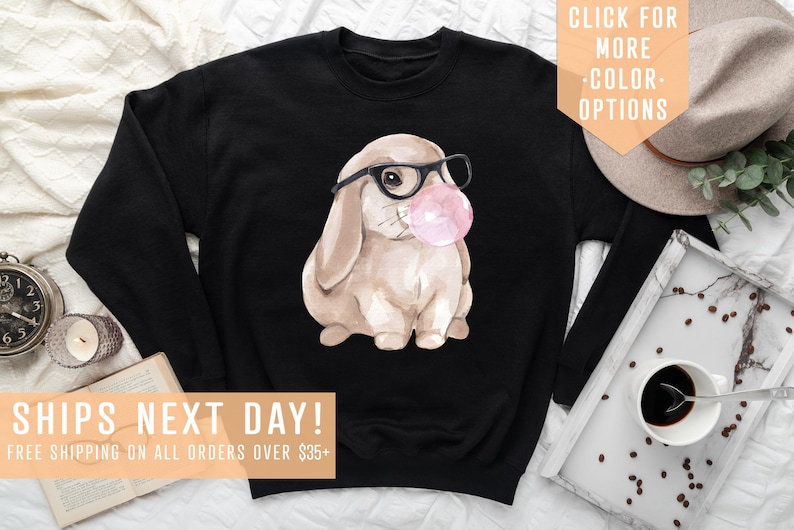 May include: Black sweatshirt with a watercolor illustration of a brown bunny wearing glasses and blowing a pink bubble. The text "SHIPS NEXT DAY! FREE SHIPPING ON ALL ORDERS OVER $35+" is at the bottom of the image.