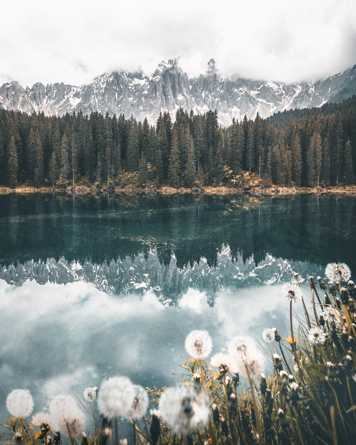 PRINTABLE NATURE ART set of Wonderful Nature Landscape home Decor prints for Walltable digital ...