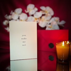 You Make Me Wet - Freches Geschenk für Ihn | Freches Geschenk für sie | Sexy Jubiläumskarte | Sexy Geburtstagskarte | Versaute Karte | Sexy Geschenk