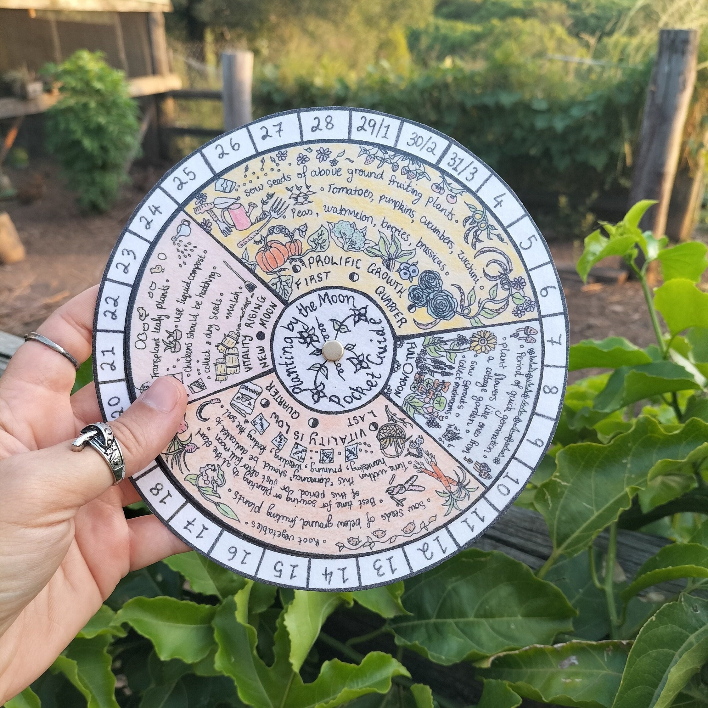 Jardiner avec la lune 2024 🌙  Calendrier lunaire du jardin 2024 à imprimer