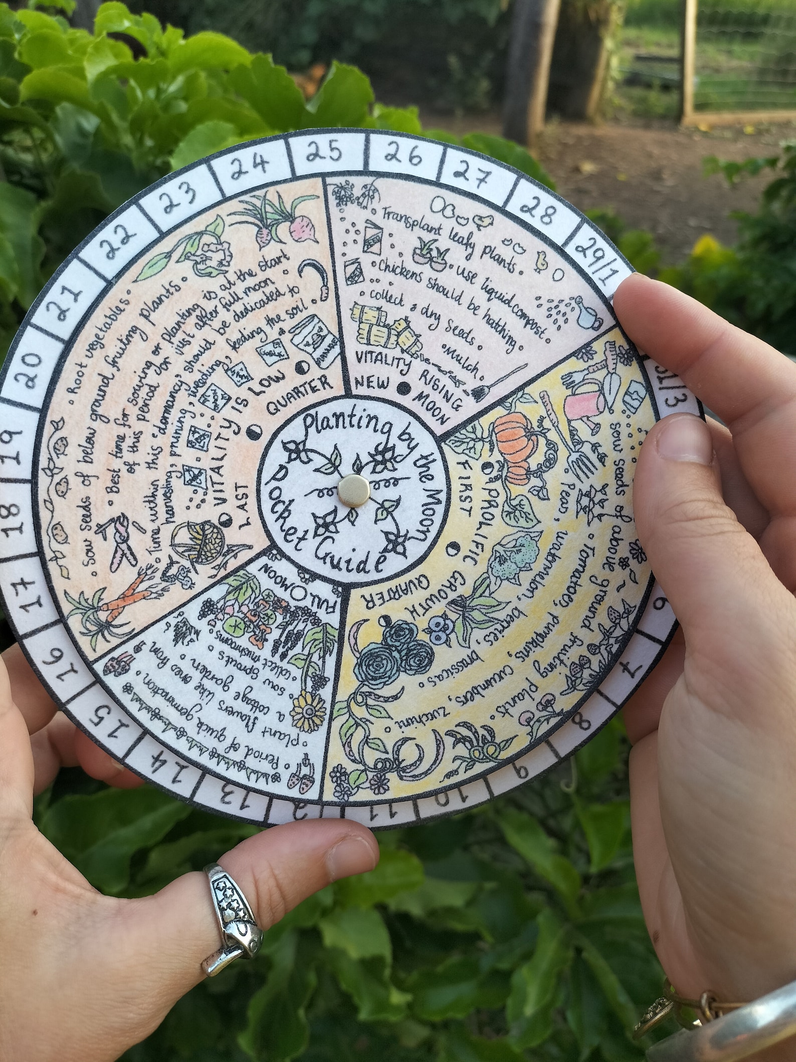 Moon Gardening Calendar Planting by the Moon Pocket Lunar Calendar