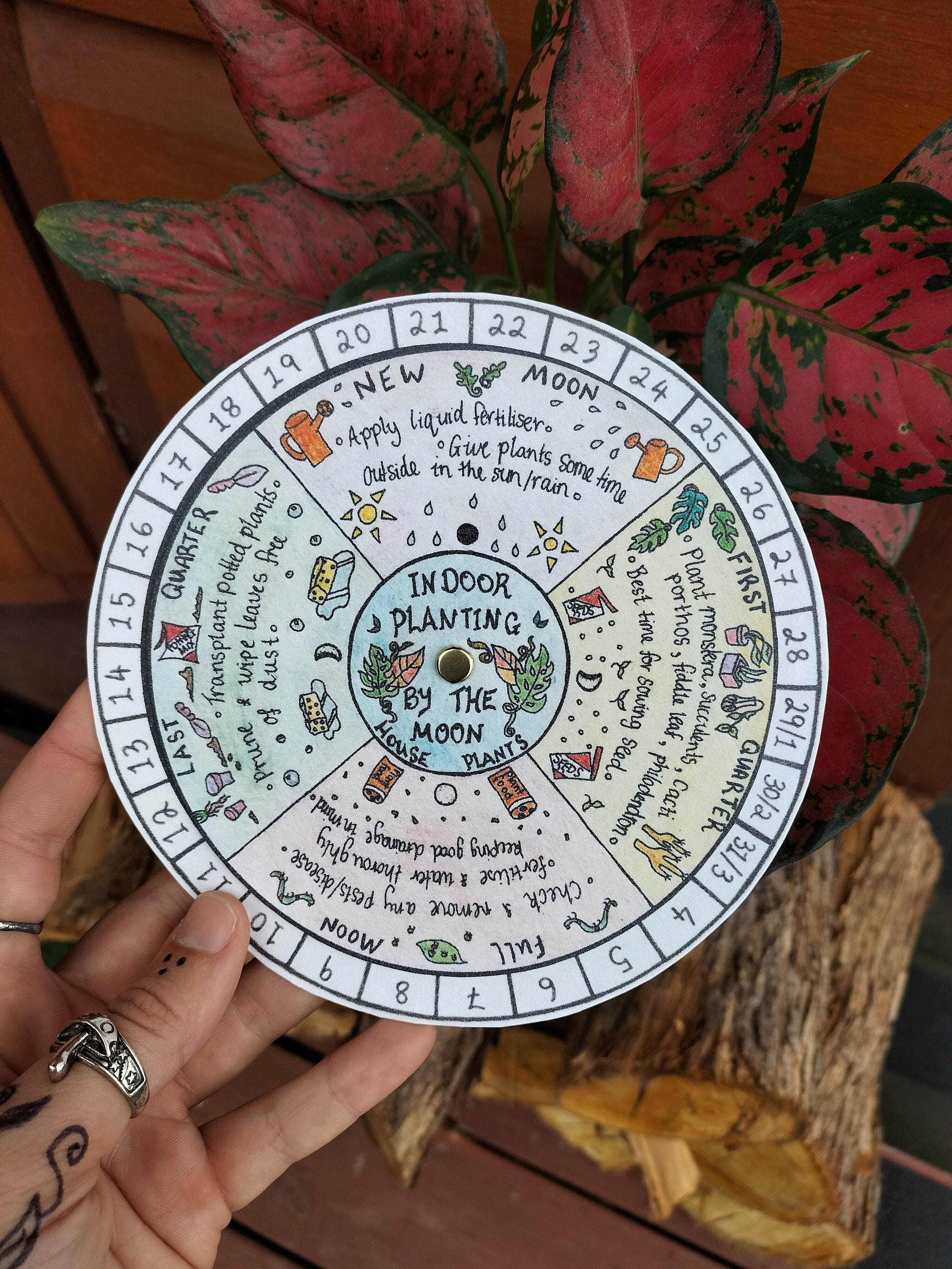 Moon Gardening Calendar Indoor Plants Houseplant Planting Guide