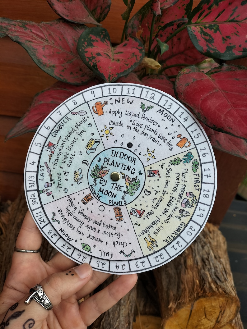 Moon Gardening Calendar Indoor Plants Houseplant Planting Guide