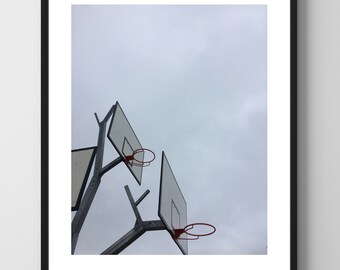 Árbol de baloncesto_ Fotografía original _ Impresión de edición limitada firmada y numerada_ Serie de hojas de contactos