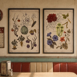 May include: Two framed botanical prints with black frames. The prints feature detailed illustrations of various plants, including fruits, vegetables, and flowers, with scientific labels. The prints are displayed in a diner setting.