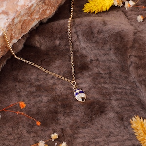 Jewellery Pit - Collana con pesce in gioielli d&#39;oro da donna - Catena d&#39;oro e gioielli estetici - Collana con pesce carino nella collezione di gioielli in oro