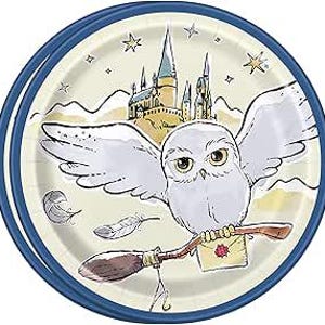 May include: Round paper plate with a blue rim featuring a cartoon owl carrying a broom and a letter. The background shows a castle, stars, and a light-colored sky. The plate has a cream-colored center.