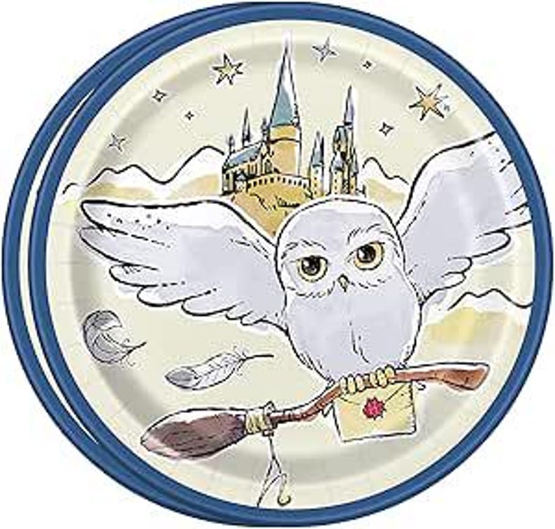 May include: Round paper plate with a blue rim featuring a cartoon owl carrying a broom and a letter. The background shows a castle, stars, and a light-colored sky. The plate has a cream-colored center.