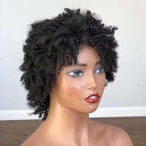 Short Afro Kinky Coily Curly Synthetic Wig | Heat Resistant Wigs for Black Women | Black Coily Wig Beginner Friendly