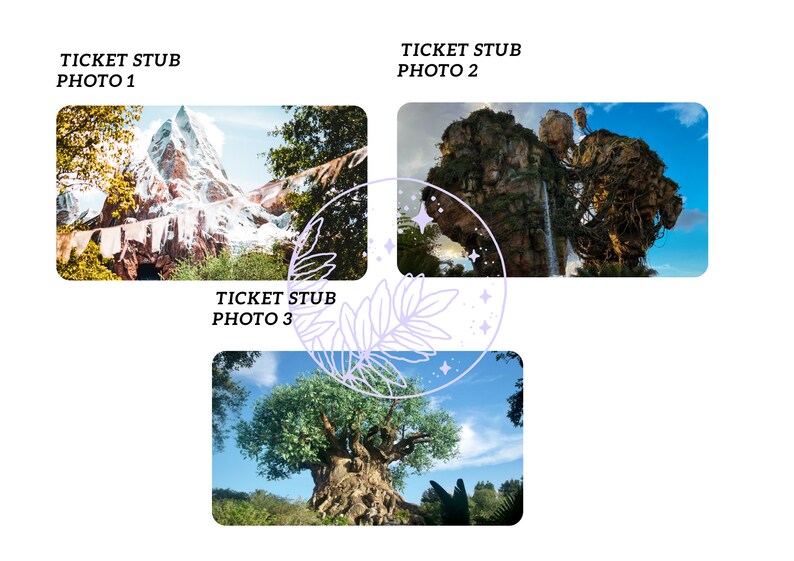 Disney Animal Kingdom Admit Ticket for Commemoration or Surprises Etsy