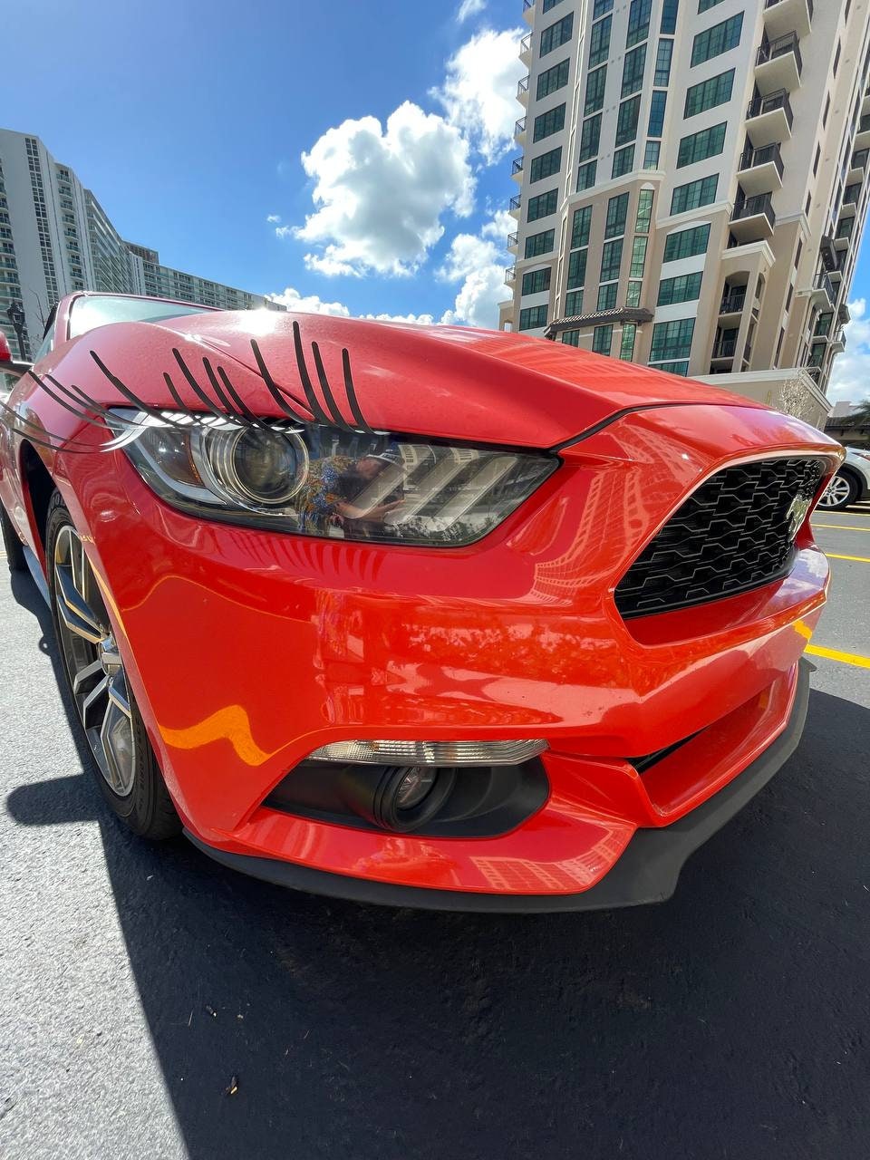 Eyelashes for Car 