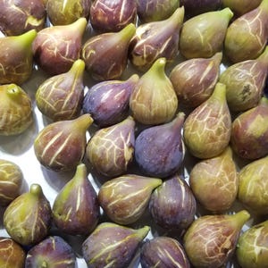 Könnte beinhalten: Eine Nahaufnahme einer großen Gruppe reifer Feigen. Die Feigen sind eine Mischung aus Lila und Grün, einige haben eine hellbraune Haut. Die Feigen sind in einer einzigen Schicht auf einer weißen Oberfläche angeordnet.