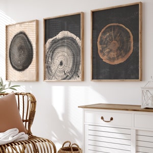 Set of 3 Wall Prints | Tree Ring Wall Art | Minimalist Abstract Decoration | Matte Wall Art | Living Room Decor