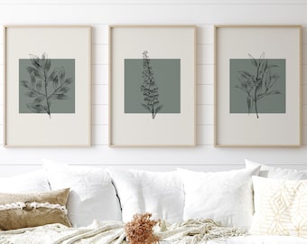 Saliegroene botanische lijntekeningen: set van 3, groen woondecoratie