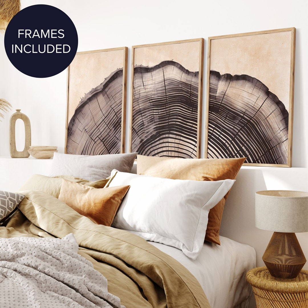 Framed Wall Art Set of 3 Mid Abstract Wall Prints Tree Ring Art