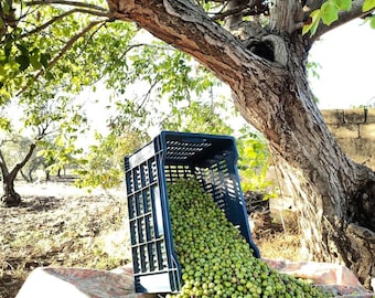 Extra Virgin Olive Oil: Cold-Pressed Organic Early Harvest
