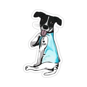 Könnte beinhalten: Ein schwarz-weißer Hund, der ein blaues Hemd mit einem Tattoo trägt, auf dem "Ich liebe Cam" steht.
