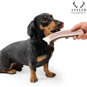 Split Deer Antler Chew: Natural Soft Puppy Chew
