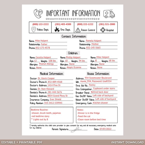 Emergency Contact Information Sheet, Babysitter Info Sheet, Emergency Contact Form For Nanny, Important Info Childcare Notes Printable PDF