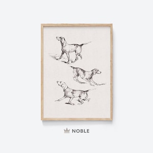 Dog Study Drawing, Printable, Vintage, Rustic, Neutral Art Print, Dog Sketch, Dog Lover Gift Idea, Digital Download DR25