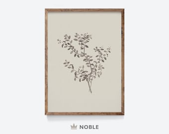 Vintage Flower Drawing Print, Botanical Sketch, Printable, Neutral Sketch, Vintage Botanical, Farmhouse Art, Digital Download DC30