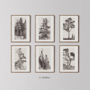 Vintage Gallery Wall Print Set, Printable, Tree Sketches Etching Print, Digital Downloads, #1