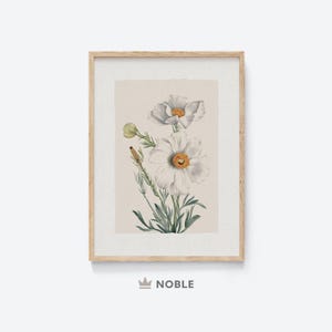Antique Floral Print, Printable, Vintage Botanical Print, Country Decor, Vintage Farmhouse Print, Digital Download