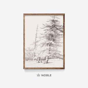 Tree Print Sketch, Antique Drawing, Landscape Sketch Art Print, Pine Tree Wall Art, Neutral Wall Art, Digital Printable Download, DR24