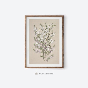 Vintage Botanical Sketch, Printable, Farmhouse Print, Vintage Flower Print, Digital Download