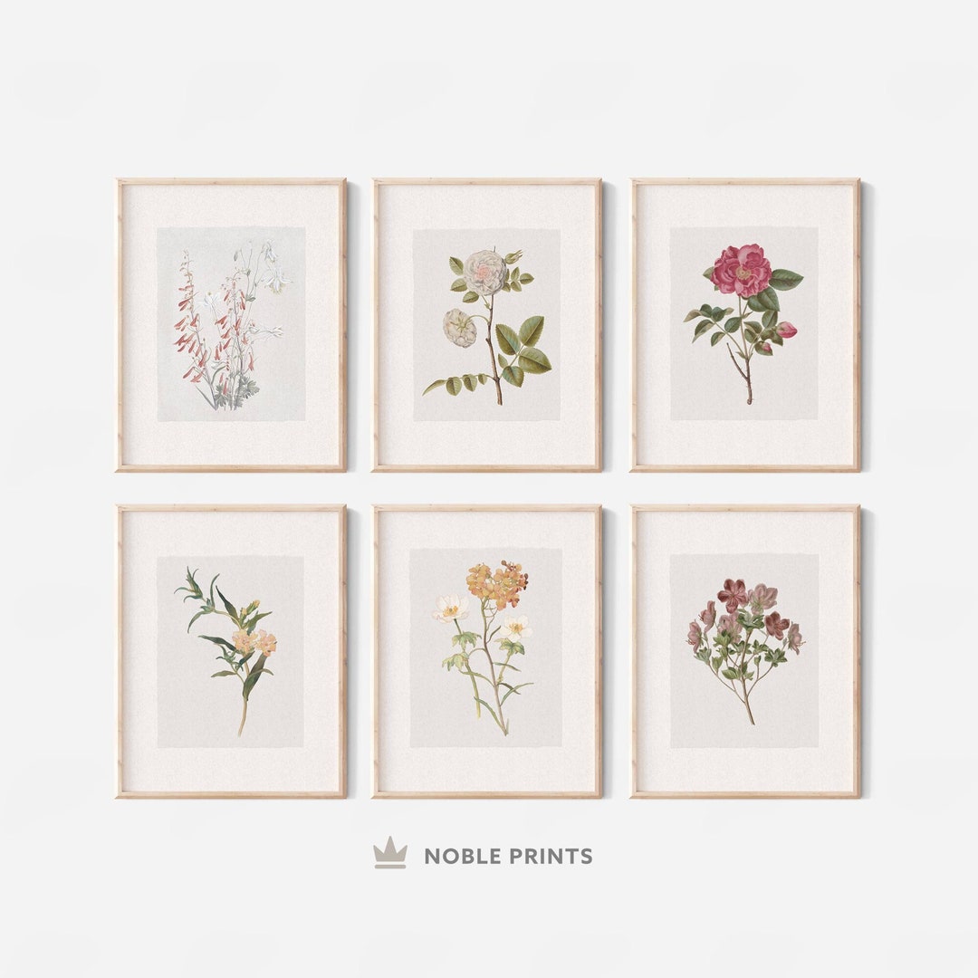 Vintage Botanical Gallery Wall Print Set, Set of 6, Flower Painting ...