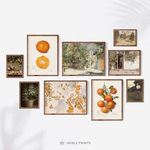 Vintage Summer Gallery Wall Prints, Set of 9, Printable, Summer Wall Art, Citrus Prints, Orange Paintings, Farmhouse Decor, Digital Download