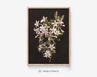 Moody Botanical Print, Printable Wall Art, Dark Floral Wall Art, Dark Academia Decor, Digital Download