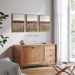 May include: Three framed landscape paintings with a muted color palette depicting a field of wildflowers. The paintings are hung on a white wall above a wooden cabinet with woven rattan doors.