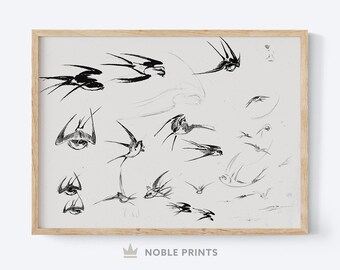 Vintage Vogel Skizze, minimalistische Wandkunst druckbar, neutrale abstrakte Wandkunst, große abstrakte Wandkunst, digitaler Download
