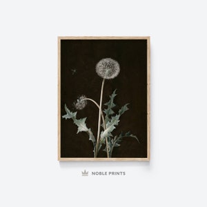 Vintage Dandelion Painting, Printable, Dark Academia Print, Cottagecore Decor, Wildflower, Floral Painting, Digital Printable Download
