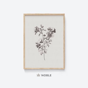 Puede incluir: Una ilustraci&oacute;n bot&aacute;nica en blanco y negro de una flor con p&eacute;talos y hojas delicados. La imagen est&aacute; enmarcada en un marco de madera claro.