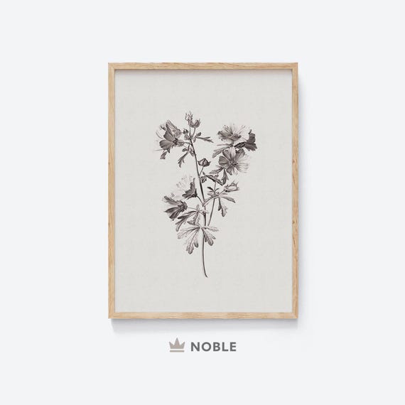 Botanical Sketch, Printable, Vintage Flower Drawing, Vintage Farmhouse Print, Country Decor, Neutral Flower Art, Digital Download DR53