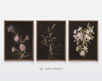 Dark Botanical Gallery Wall Art, 3-teilige Prints, bedruckbar, stimmungsvolles Blumendruckset, 3-teilige Wandkunst, digitaler Download 021
