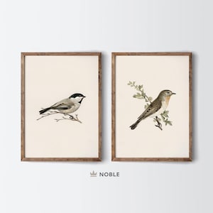 Antique Bird Drawings, Set of 2, Printable Nursery Set of 2 Prints, Farmhouse Kitchen Wall Decor, Digital Printable Download