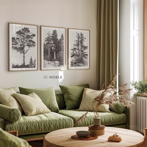Może przedstawiać: Trzy oprawione czarno-białe ilustracje drzew wiszące na jasnobeżowej ścianie nad zieloną sofą z poduszkami. Sofa znajduje się w salonie z drewnianym stolikiem kawowym i wazą z suszonymi kwiatami.