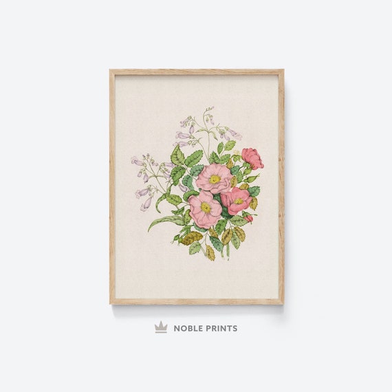 Wild Rose Drawing, Vintage Flower Print, Digital Wall Art Download, Printable