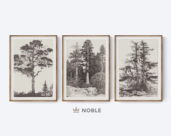 Juego de impresiones de pared de galería vintage, juego de 3, imprimibles, grabados de bocetos de árboles, impresión de bosque, juego de arte de granja, descarga digital n.° 2